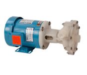 Hayward 1C5GX0200 Centrifugal Pumps