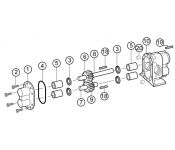 Oberdorfer 9797-158 Gear Pump