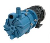Finish Thompson SP10P Sealless Magnetic Drive Centrifugal Pump